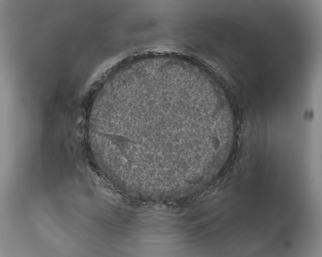 X0000110881207200907161453