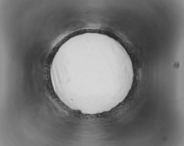 X0000110881208200907161453