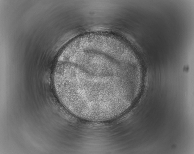 X0000110881209200907161453