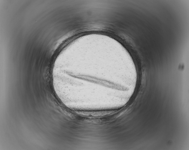 X0000110881210200907161453