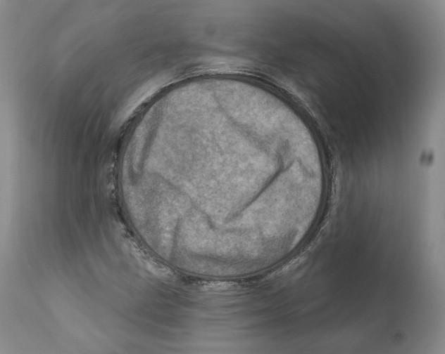 X0000110881211200907161453