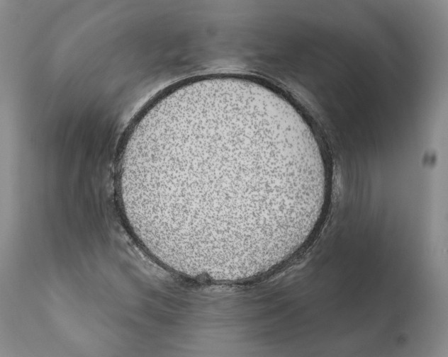 X0000110881212200907161453