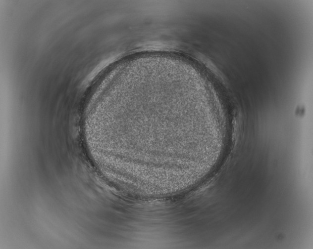 X0000110881213200907161453