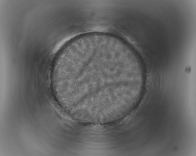 X0000110881214200907161453