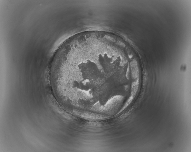 X0000110881215200907161453