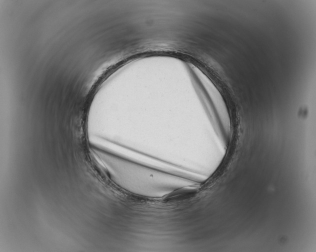 X0000110881218200907161454