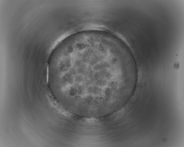 X0000110881219200907161454