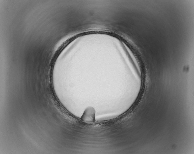 X0000110881222200907161454