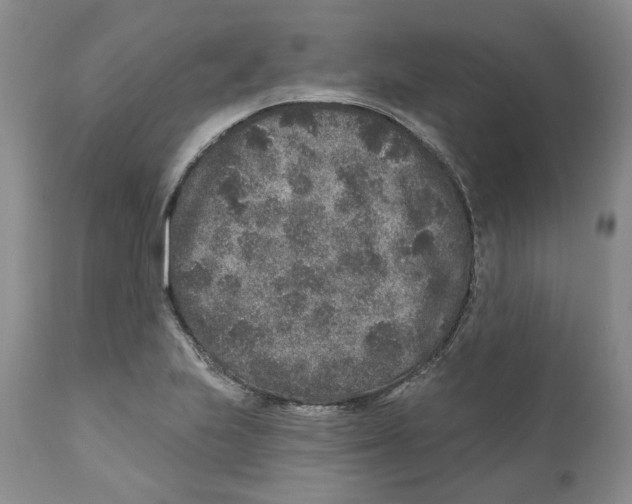 X0000110881223200907161454