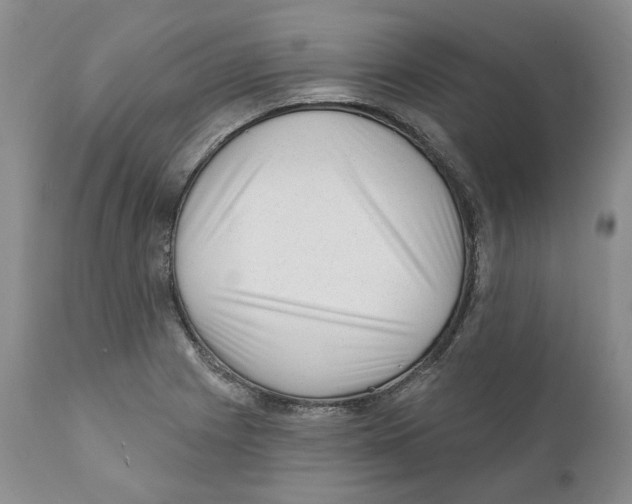 X0000110881225200907161454