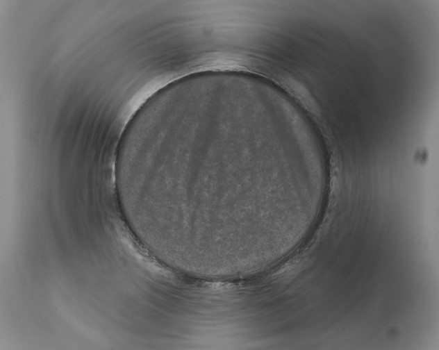 X0000110881226200907161454