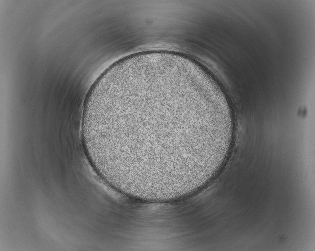 X0000110881228200907161454