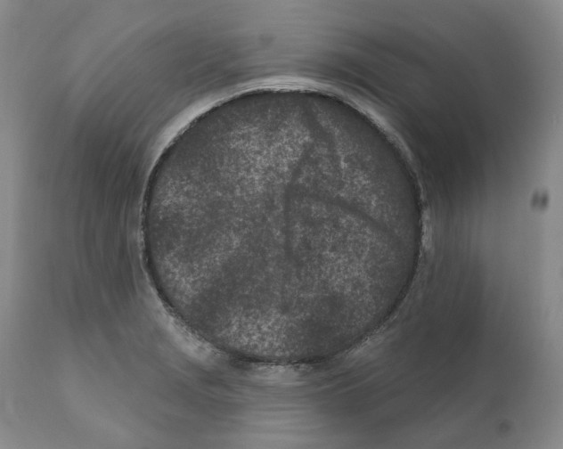 X0000110881229200907161454