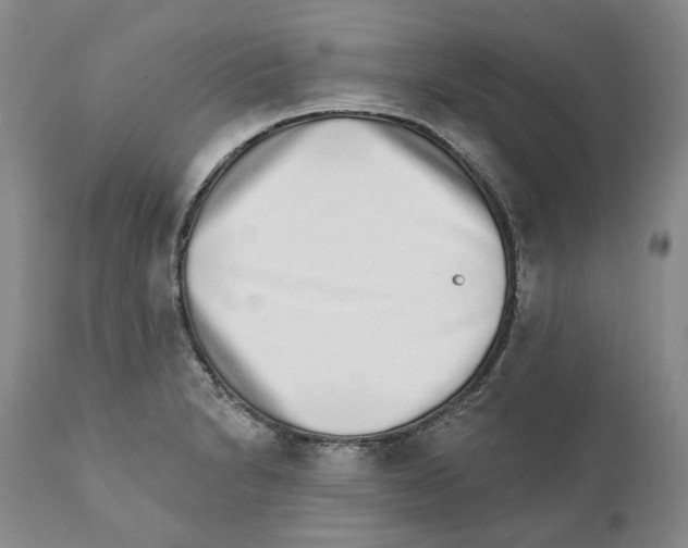 X0000110881230200907161454