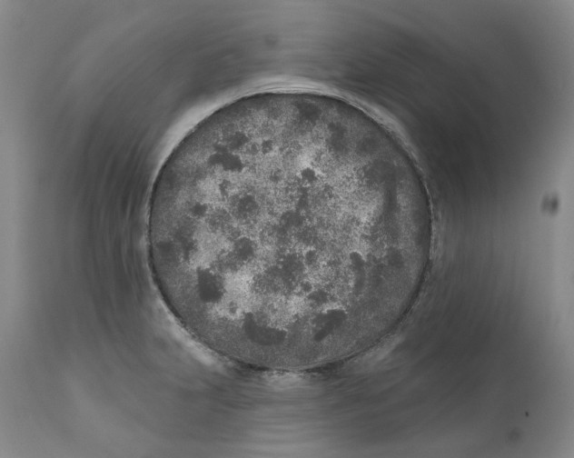 X0000110881231200907161454