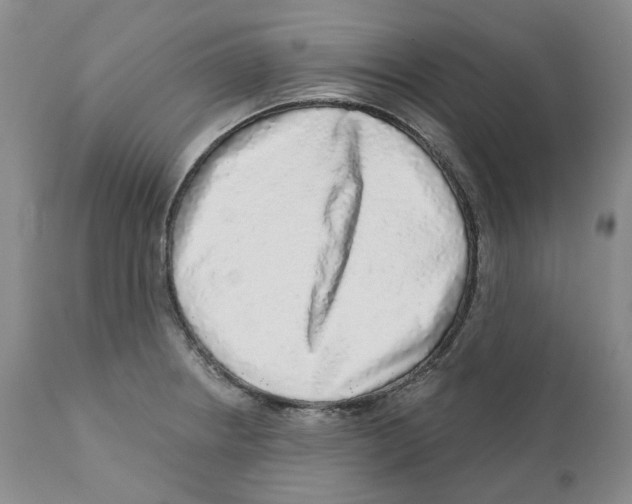 X0000110881234200907161454