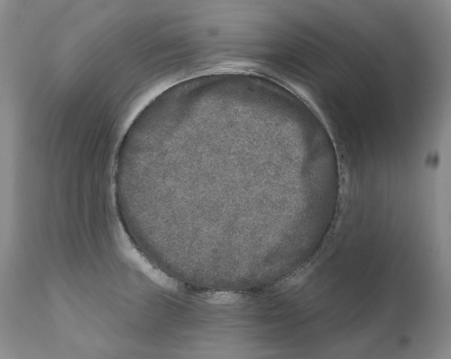 X0000110881235200907161454