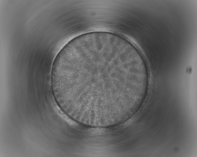 X0000110881236200907161454