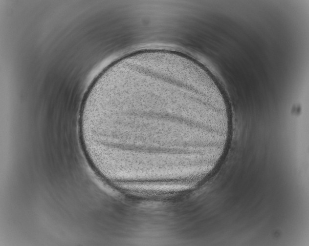 X0000110881237200907161454