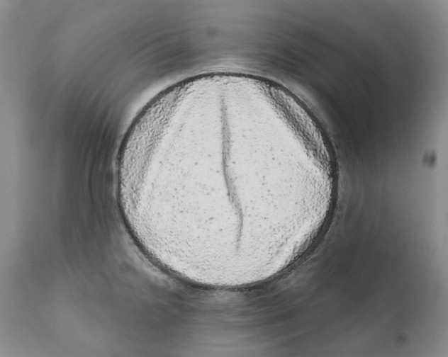 X0000110881238200907161454