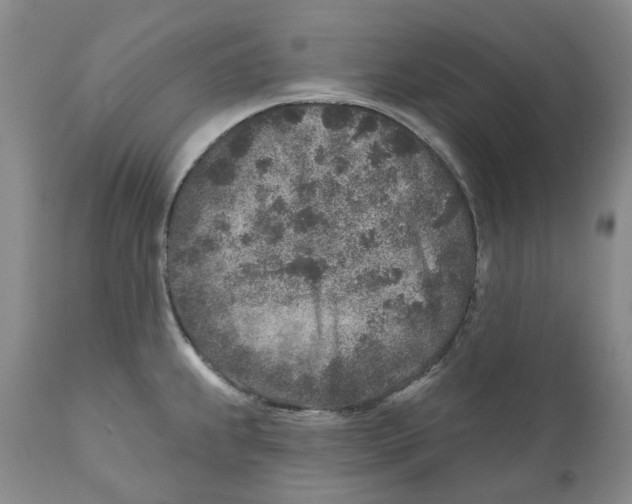 X0000110881239200907161454