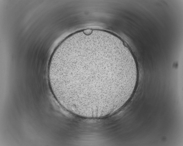 X0000110881240200907161454