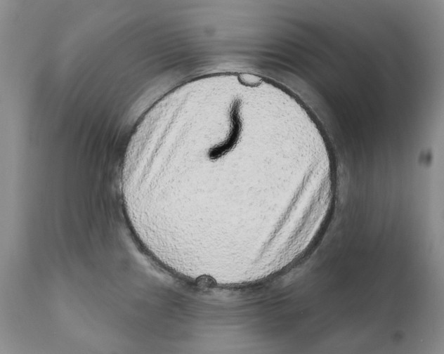 X0000110881241200907161454