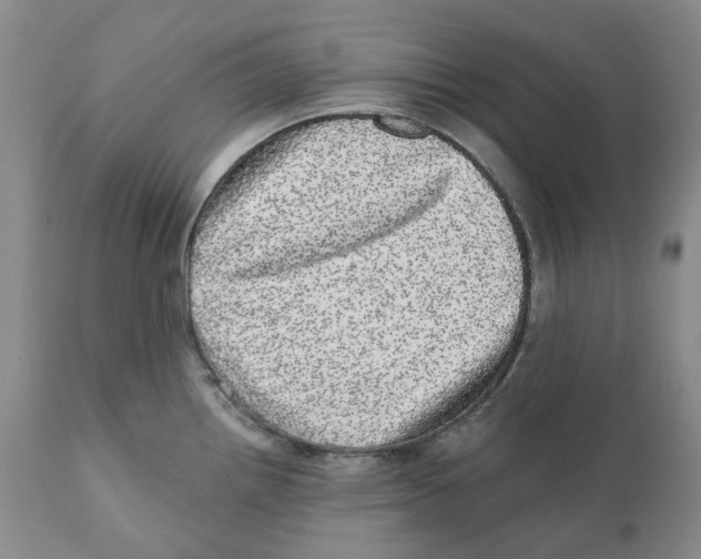 X0000110881242200907161454