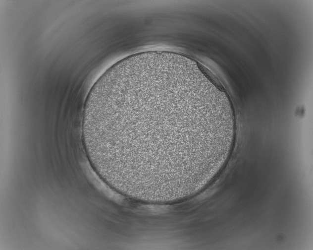 X0000110881244200907161454