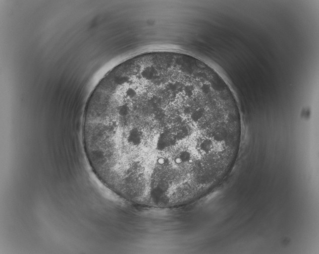 X0000110881245200907161454