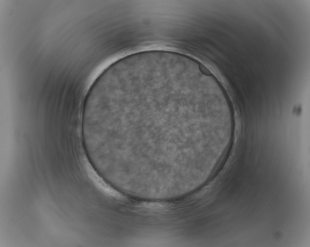 X0000110881246200907161454