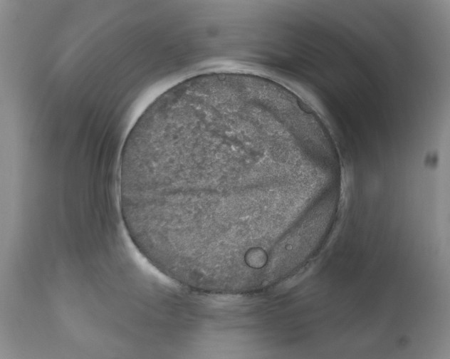 X0000110881247200907161454