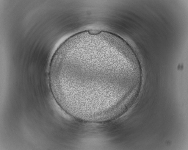 X0000110881248200907161454