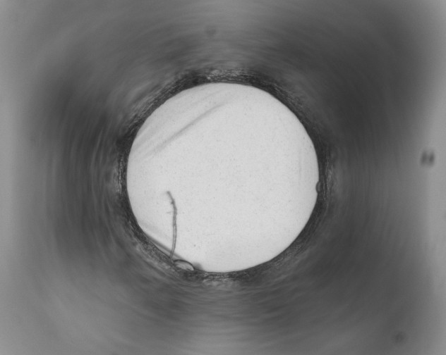 X0000110881250200907161453