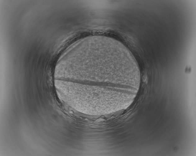 X0000110881252200907161453