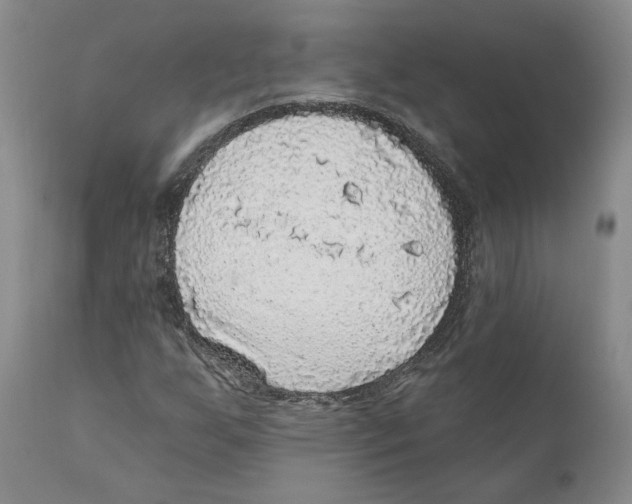 X0000110881255200907161453