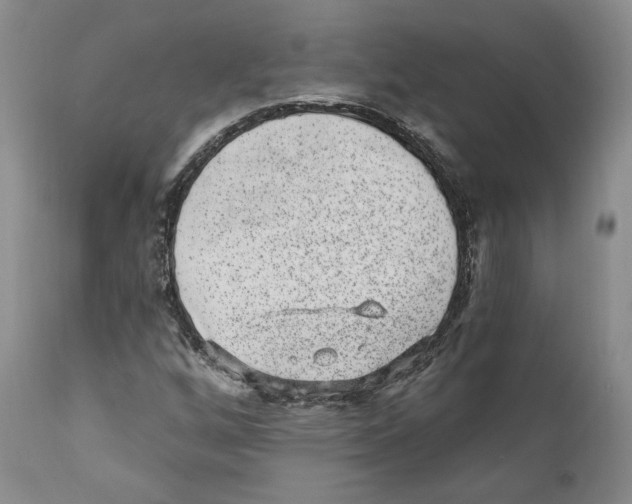 X0000110881256200907161453