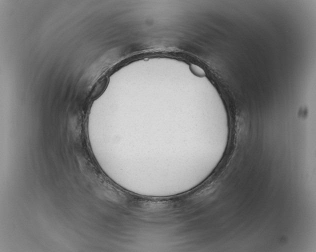 X0000110881257200907161453