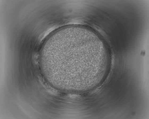 X0000110881258200907161453