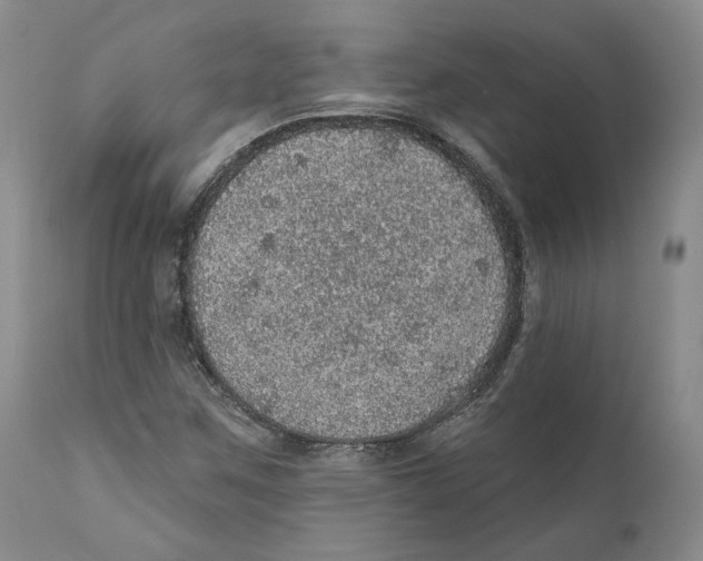 X0000110881259200907161453