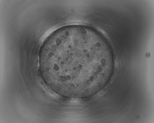 X0000110881267200907161453