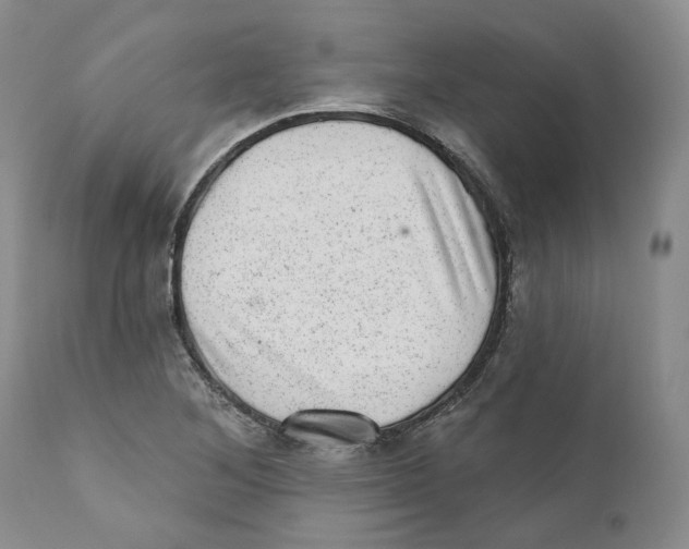 X0000110881268200907161453