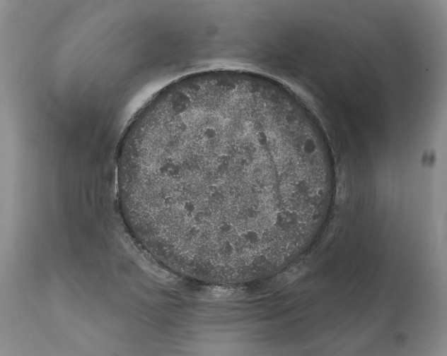 X0000110881271200907161453