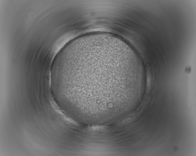 X0000110881274200907161453