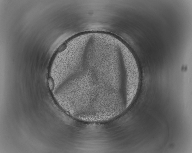 X0000110881277200907161453