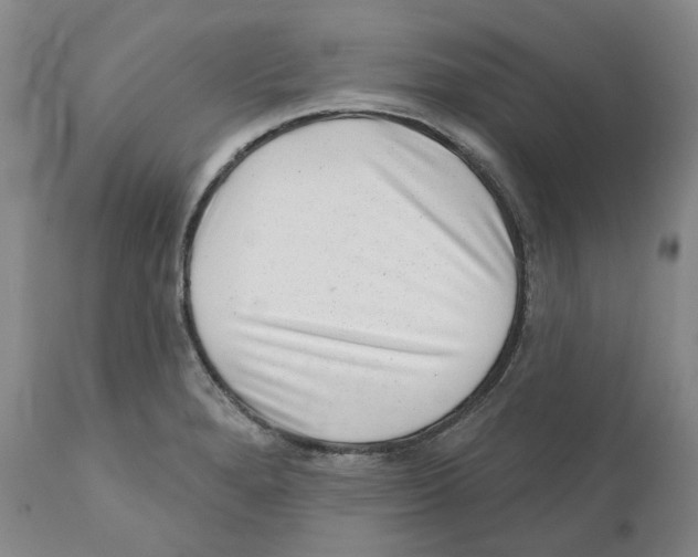 X0000110881280200907161453