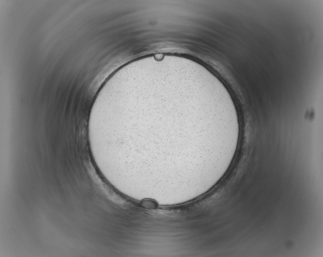 X0000110881281200907161453