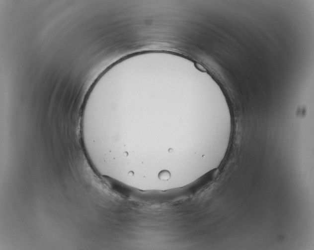 X0000110881284200907161453