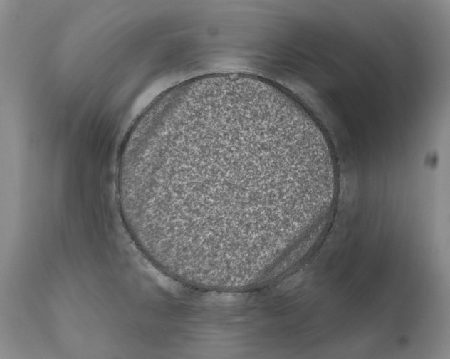 X0000110881286200907161453