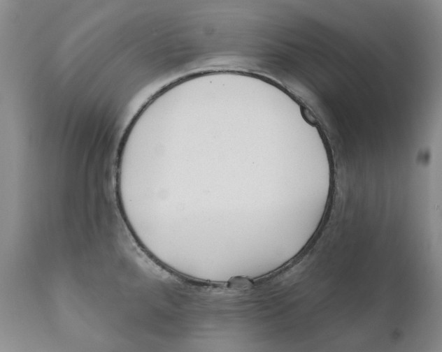 X0000110881288200907161453